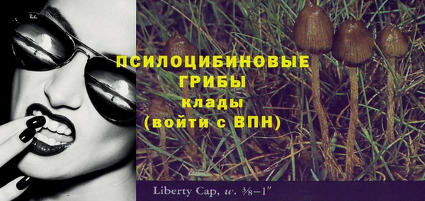 альфа пвп Осинники