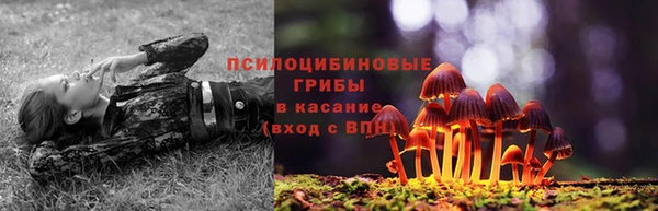 мяу мяу кристалл Остров